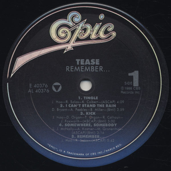 Tease - Remember (VG+) (Vinyl LP)