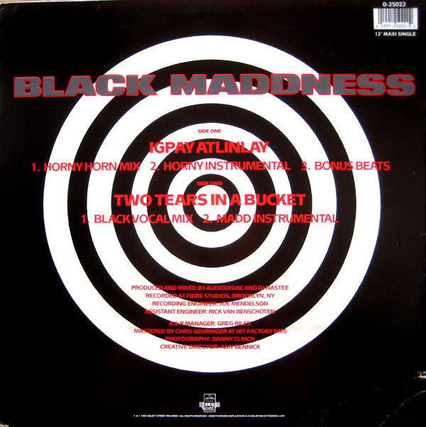 Black Maddness - Igpay Atinlay (VG) (Vinyl LP)