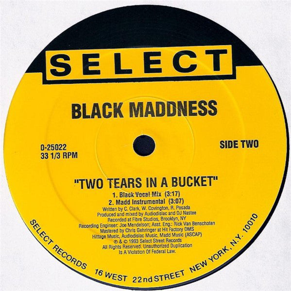 Black Maddness - Igpay Atinlay (VG) (Vinyl LP)