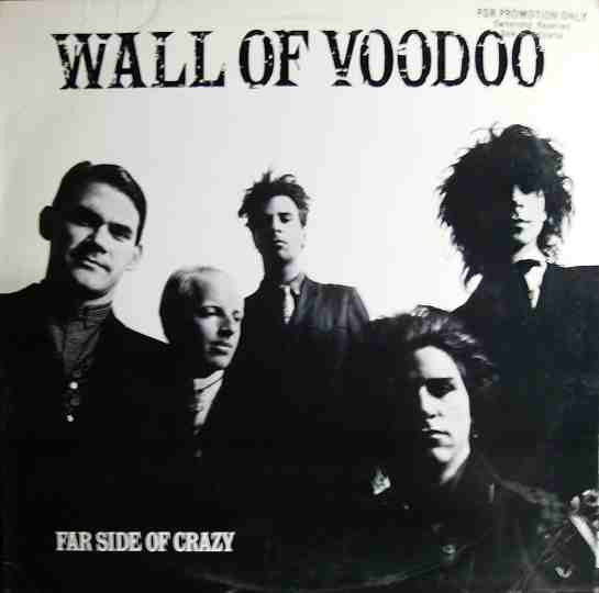 Wall Of Voodoo - Far Side Of Crazy (VG+) (Vinyl LP)