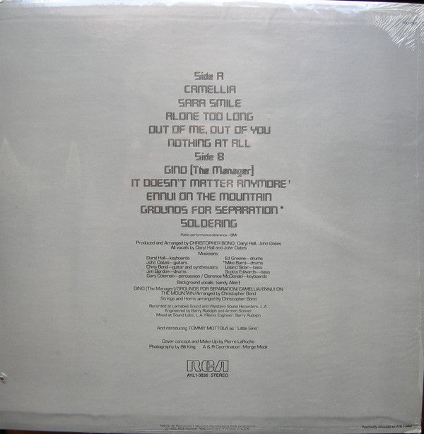 Hall & Oates - Daryl Hall & John Oates (Vinyl, M) (Vinyl LP)