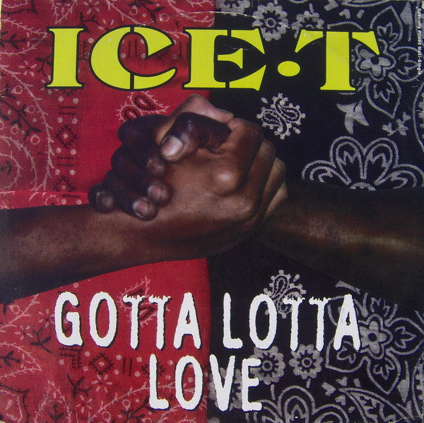 Ice-T - Gotta Lotta Love (NM or M-) (Vinyl LP)