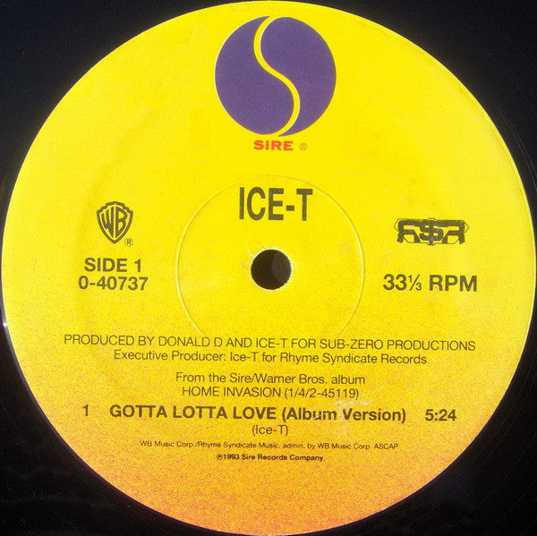 Ice-T - Gotta Lotta Love (NM or M-) (Vinyl LP)