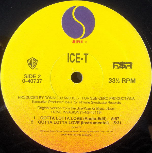 Ice-T - Gotta Lotta Love (NM or M-) (Vinyl LP)