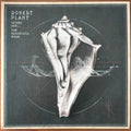 Plant, Robert And The Sensational Space Shifters - Lullaby And... The Ceaseless Roar (Vinyl, VG+) (Vinyl LP)