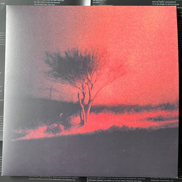 Joji - Piss In The Wind (Vinyl, NM or M-) (Vinyl LP)
