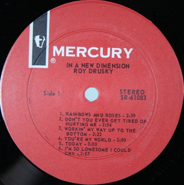 Drusky, Roy - In A New Dimension (VG) (Vinyl LP)