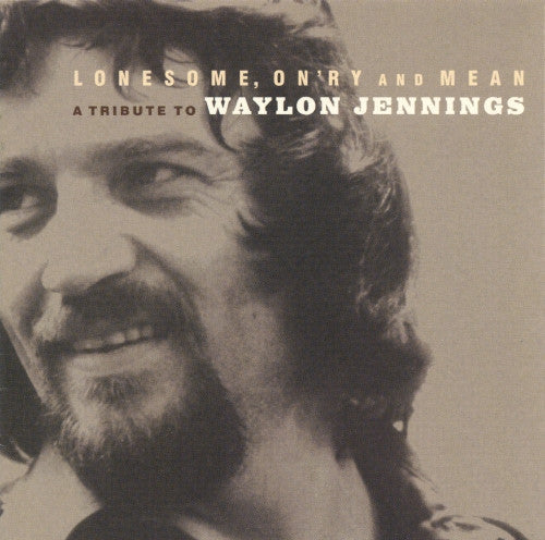 Various - Lonesome, On'ry And Mean (A Tribute To Waylon Jennings) (CD, VG) (Vinyl LP)