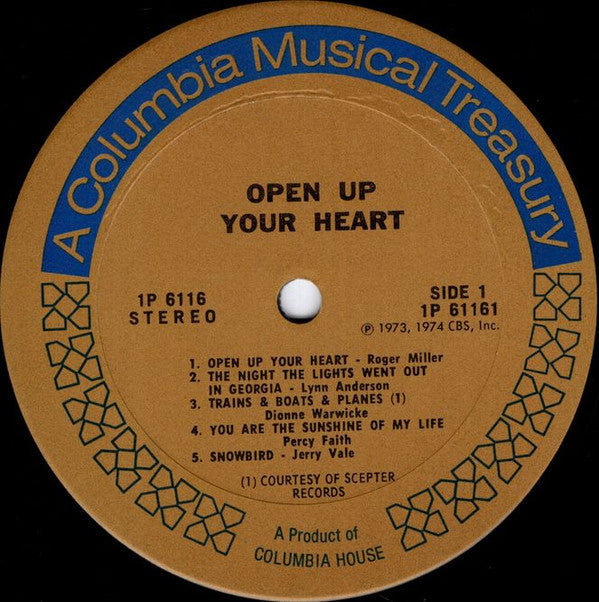 Open Up Your Heart (Vinyl, M) (Vinyl LP)