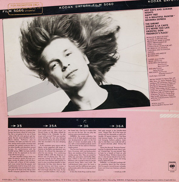 Schaffer, Janne - Earmeal (VG+) (Vinyl LP)