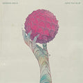 Broken Bells - Into The Blue (Vinyl LP)