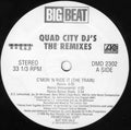 Quad City DJ's - C'Mon 'N Ride It (The Train): The Remixes (VG+) (Vinyl LP)