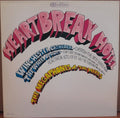 Megaphones And The Mikes - Heartbreak Hotel (VG) (Vinyl LP)