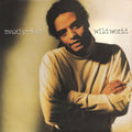 Maxi Priest - Wild World (VG+) (Vinyl LP)