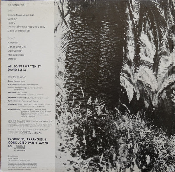 Essex, David - David Essex (VG+) (Vinyl LP)