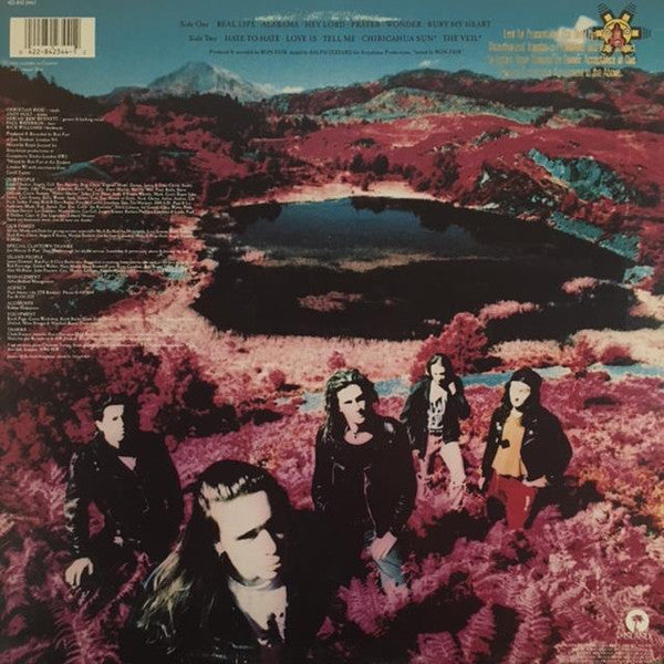 Claytown Troupe - Through The Veil (NM or M-) (Vinyl LP)