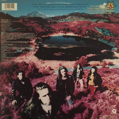 Claytown Troupe - Through The Veil (NM or M-) (Vinyl LP)
