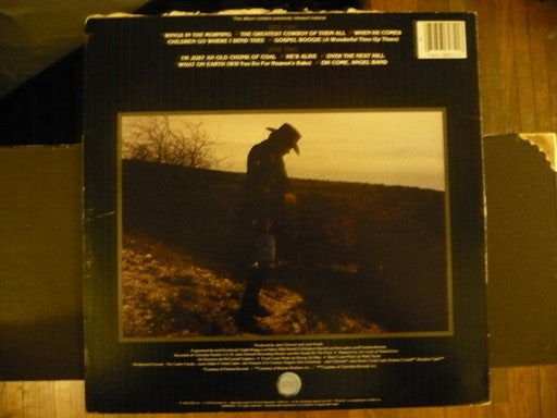 Cash, Johnny - A Believer Sings The Truth Volume One (Vinyl, VG+) (Vinyl LP)
