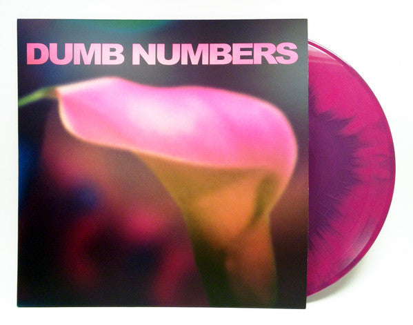 Dumb Numbers - Dumb Numbers (Vinyl, NM or M-) (Vinyl LP)