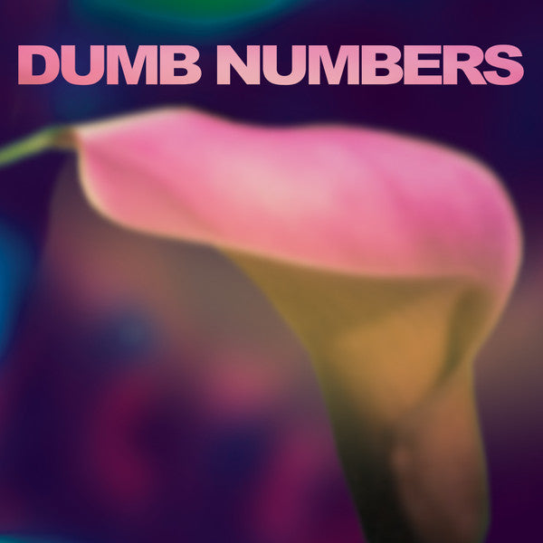 Dumb Numbers - Dumb Numbers (Vinyl, NM or M-) (Vinyl LP)