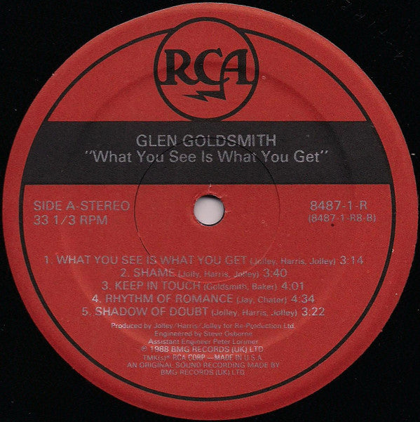 Goldsmith, Glen - What You See Is What You Get (NM or M-) (Vinyl LP)