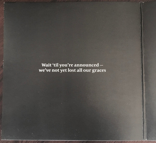 Lorde - Pure Heroine (Vinyl, NM or M-) (Vinyl LP)