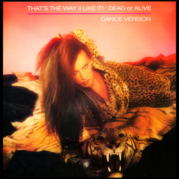 Dead Or Alive - That's The Way (I Like It) (Dance Version) (VG+) (Vinyl LP)