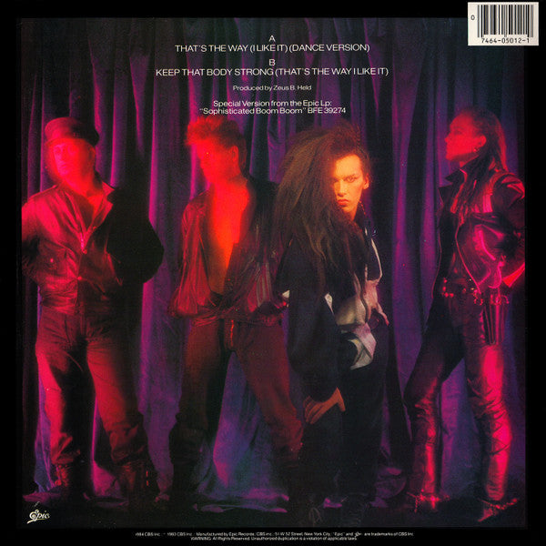 Dead Or Alive - That's The Way (I Like It) (Dance Version) (VG+) (Vinyl LP)