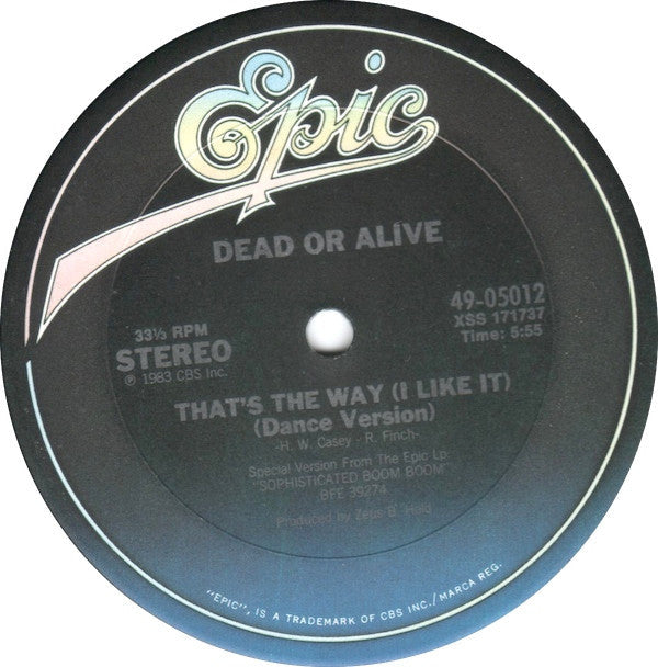 Dead Or Alive - That's The Way (I Like It) (Dance Version) (VG+) (Vinyl LP)