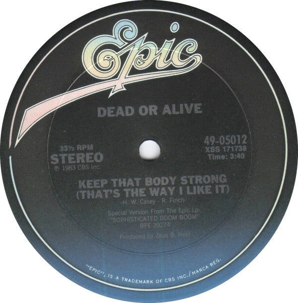 Dead Or Alive - That's The Way (I Like It) (Dance Version) (VG+) (Vinyl LP)