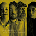 Belle and Sebastian - How to Solve Our Human Problems Vol.2 (Vinyl LP)