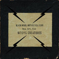 Black Rebel Motorcycle Club - Wrong Creatures (Vinyl LP)