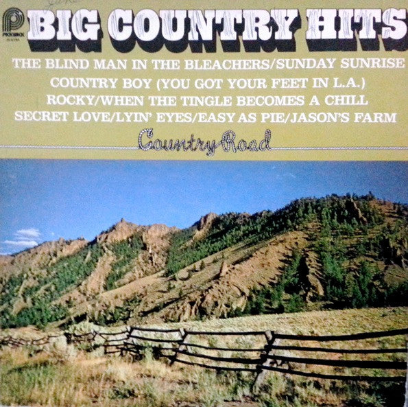 Country Road - Big Country Hits (VG+) (Vinyl LP)