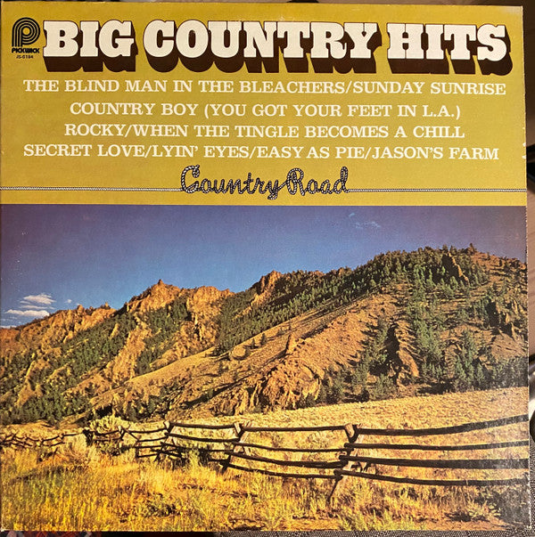 Country Road - Big Country Hits (VG+) (Vinyl LP)