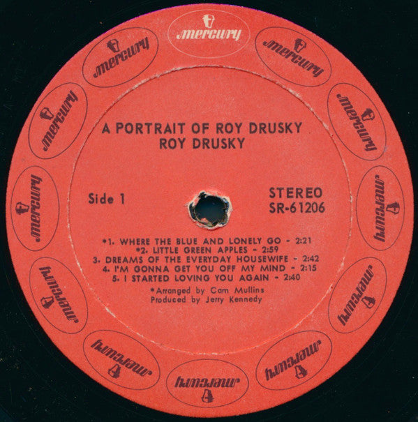 Drusky, Roy - Portrait Of Roy Drusky (VG+) (Vinyl LP)