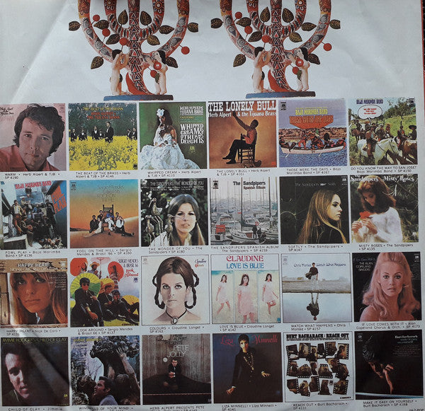 Wilson, Robin - Robin Wilson (VG+) (Vinyl LP)