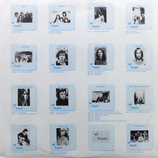 Kottke, Leo - Burnt Lips (Vinyl, VG+) (Vinyl LP)