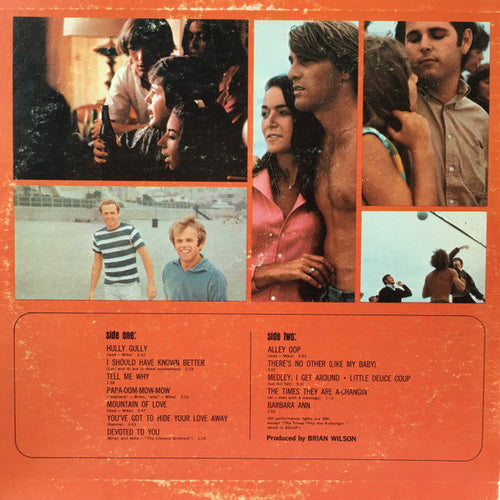 Beach Boys - Beach Boys' Party! (Vinyl, VG+) (Vinyl LP)