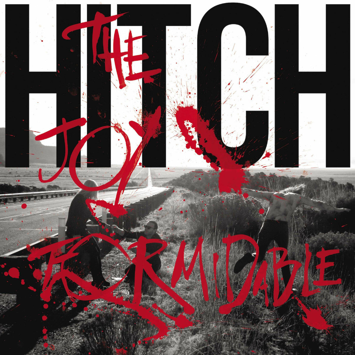 Joy Formidable - Hitch (Vinyl LP)