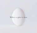 Wilco - Ghost Is Born (Vinyl LP)