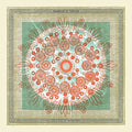 Trampled by Turtles - Life is Good on the Open Road (Vinyl LP)