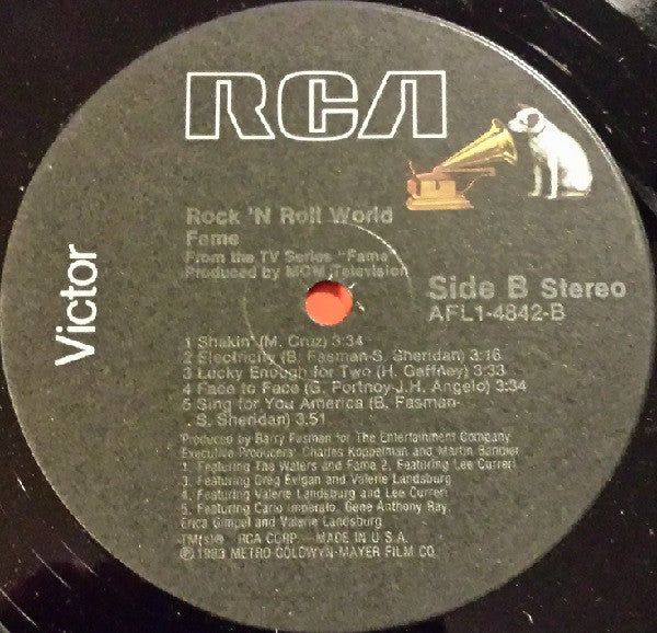 Fame - Rock 'N Roll World (Vinyl, VG+) (Vinyl LP)