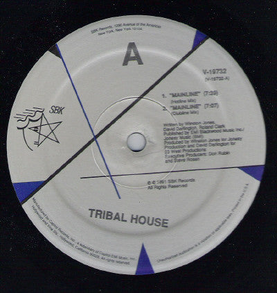 Tribal House - Mainline (VG+) (Vinyl LP)