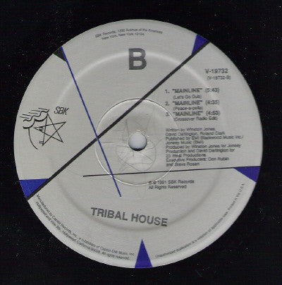 Tribal House - Mainline (M) (Vinyl LP)