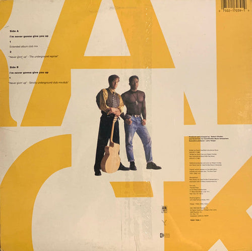 Brat Pack - I'm Never Gonna Give You Up (VG+) (Vinyl LP)
