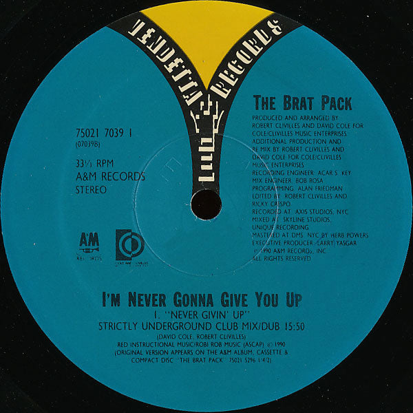 Brat Pack - I'm Never Gonna Give You Up (VG+) (Vinyl LP)