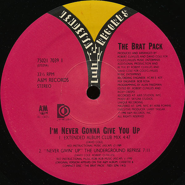 Brat Pack - I'm Never Gonna Give You Up (VG+) (Vinyl LP)