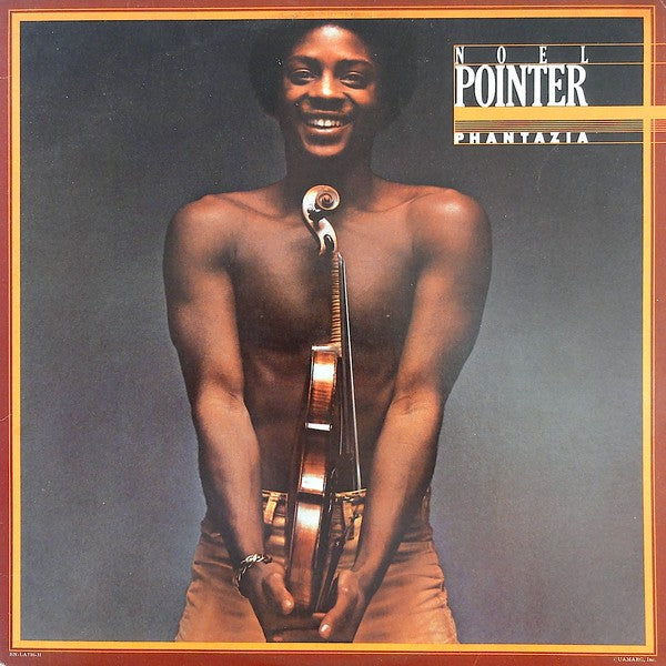 Pointer, Noel - Phantazia (VG) (Vinyl LP)