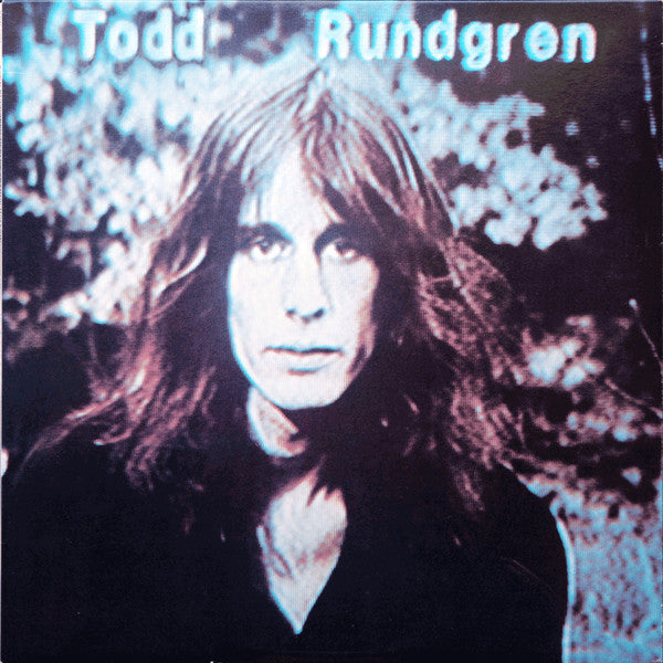 Rundgren, Todd - Hermit Of Mink Hollow (Vinyl, VG+) (Vinyl LP)