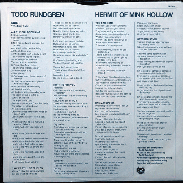 Rundgren, Todd - Hermit Of Mink Hollow (Vinyl, VG+) (Vinyl LP)